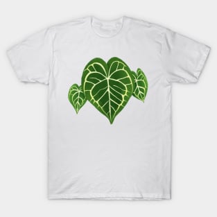 Philodendron Gloriosum Monstera Leaf T-Shirt